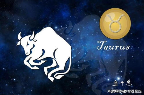 金牛和什么星座最好